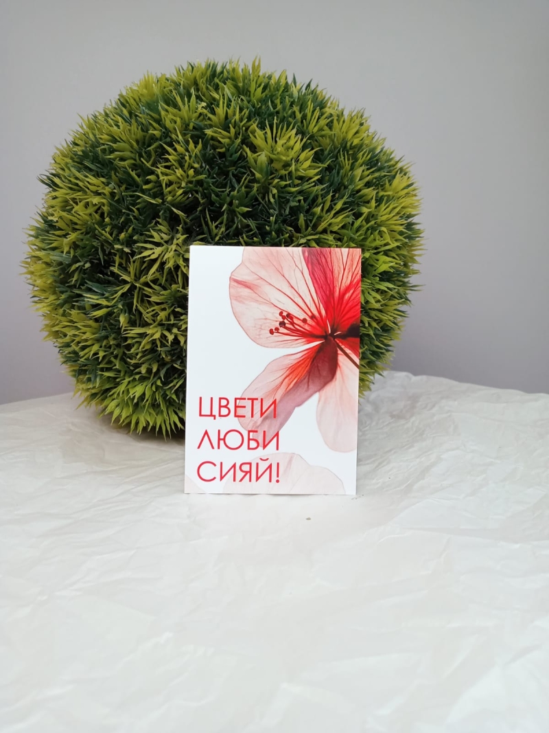 Открытка " Цвети, люби, сияй"